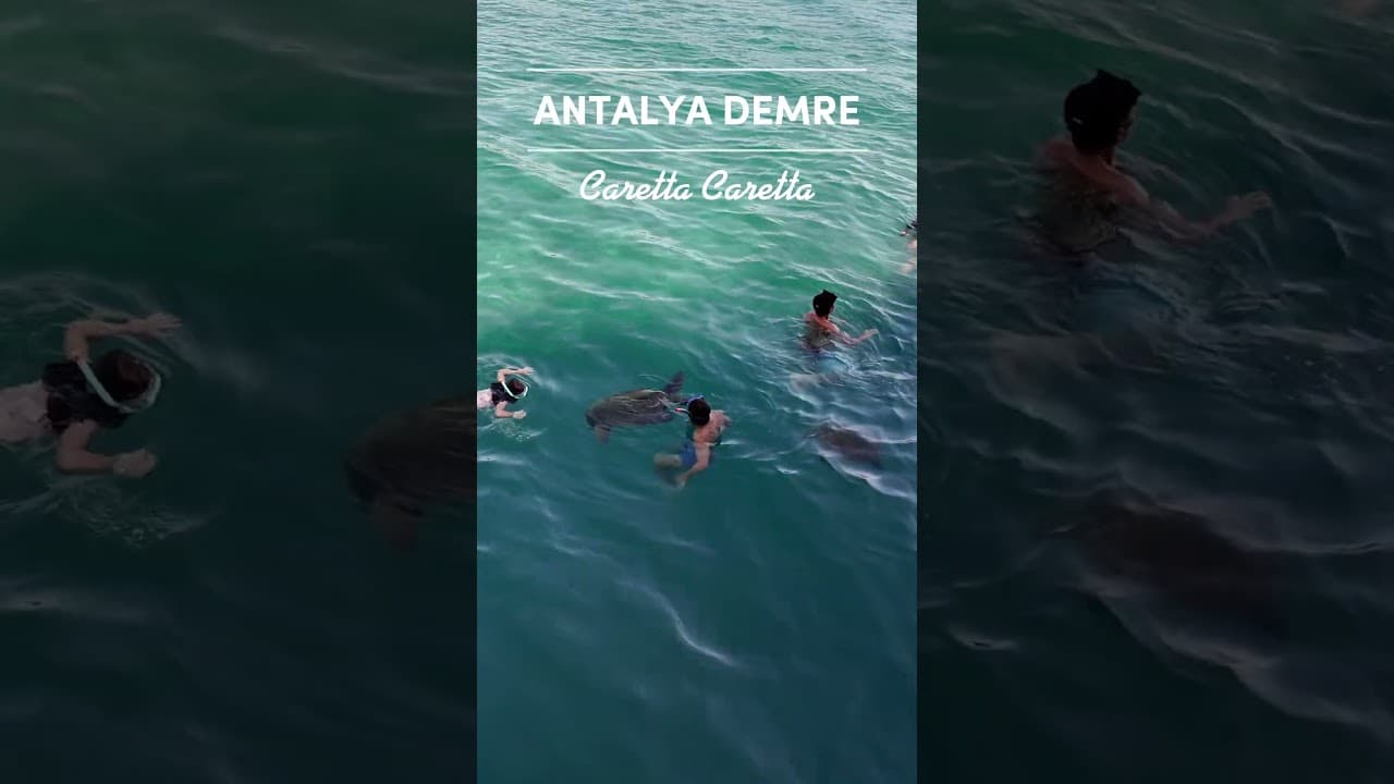 🐢Swimming with Endangered Sea Turtles ! Antalya Demre 🏊‍♂️ #CarettaCaretta #turkeyantalya