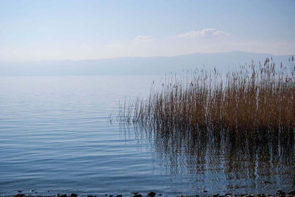 Koycegiz Delta Beach: Lakeshore, Facilities and Safety
