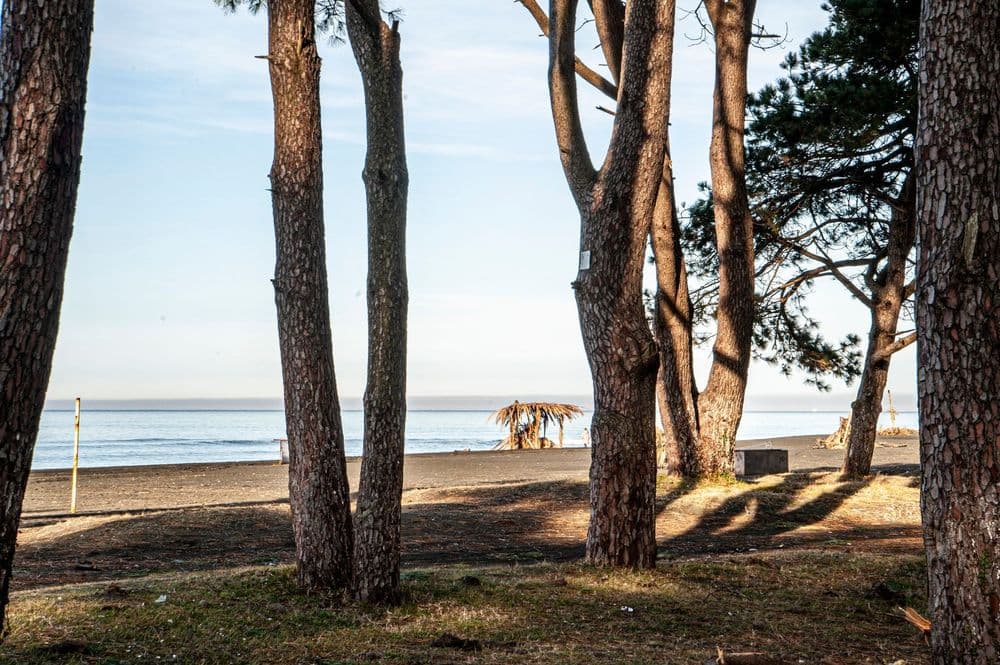 Sarigerme Travel Guide: Beach, Nature, Accommodation and Transport